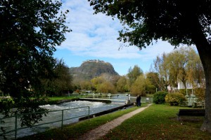 Musikinsel_Singen_10-2014_00510m