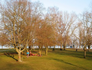 04_Hörnle-Park_Konstanz_3-2013_2995_Mm