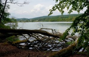 Drumlin-Tour über den Bodanrück @ Kultur-Rädle